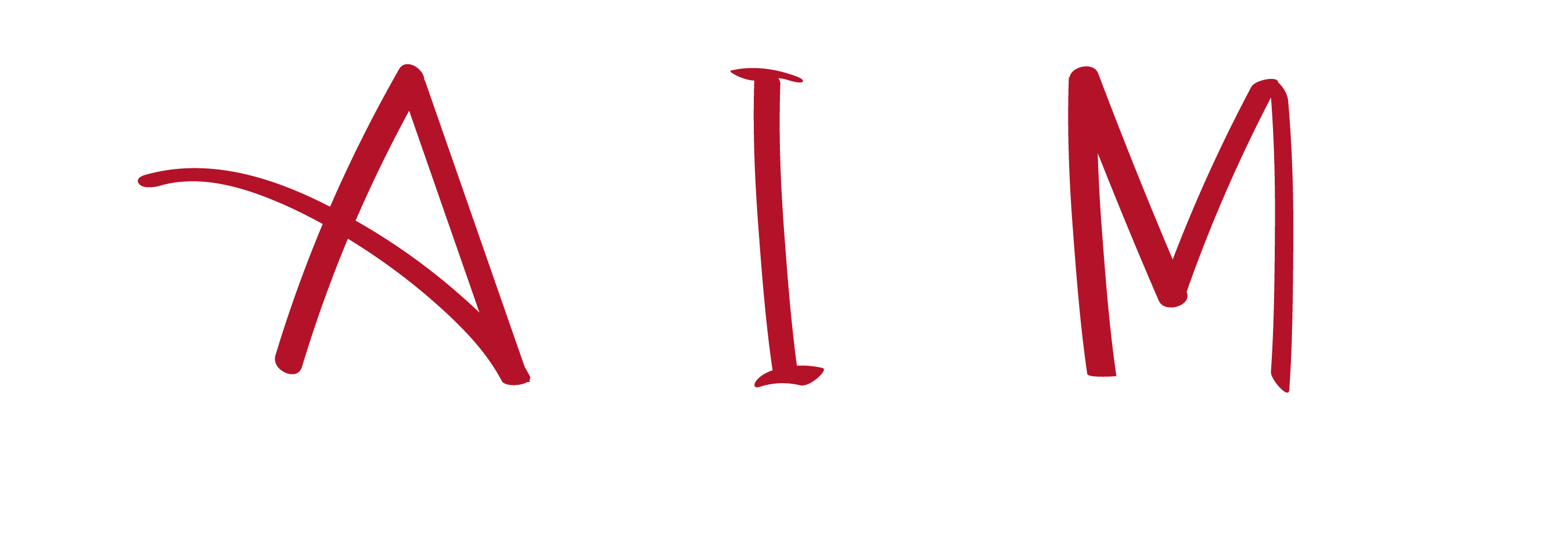 AIM Architecture
